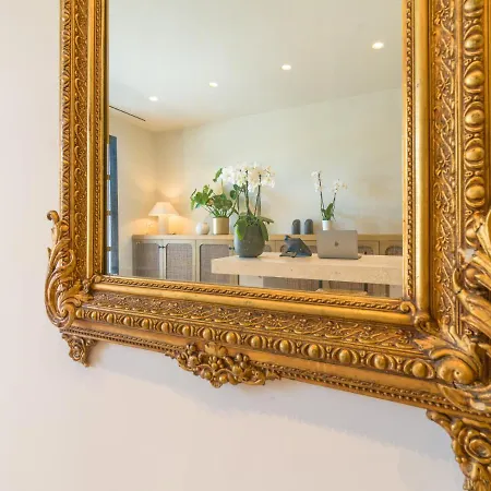 Essence 阿尔戈斯托利翁