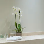 Essence 4* أرغوستولي